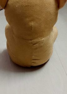Teddy Beer