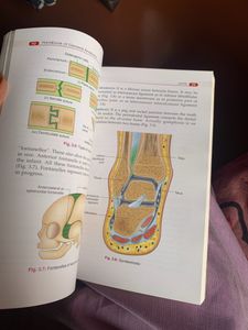 General Anatomy.MBBS Text