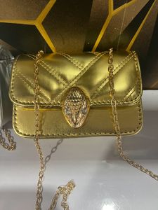 Party Wear Sling Bag