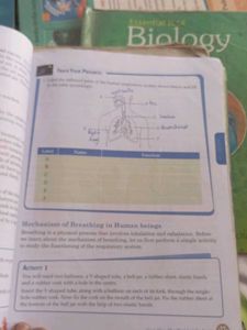 Universal Science 7