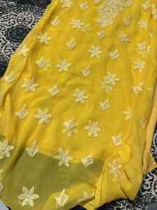 Lucknow Original Chickankari Kurti