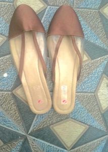 Brown & Clear Pointed Mules