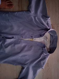 Striped Button-Down Shirt