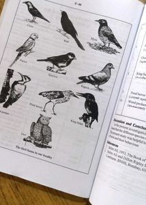 Biology Practicals Textbook 📚