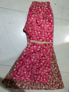 Elegant redish Garara with golden embroidery