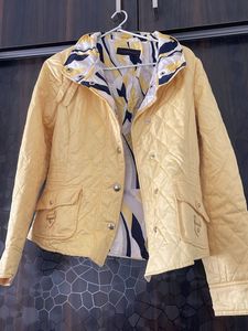Vibrant Yellow Jacket