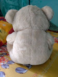 Jam And Honey Brown Teddy