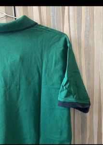 Combo Of Men&#39;s  Polo Shirt