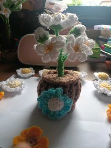 Flower Pot
