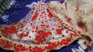 Beautiful Embroidery Kaliye