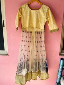 Party Wear Dress Lehenga And Choli