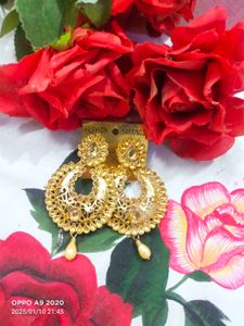 Beautiful Golden Earring