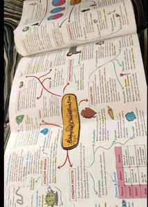 NEET Abhyaas Theory Maps - Class 11 &amp; 12