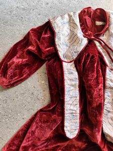 Vintage Velvet top