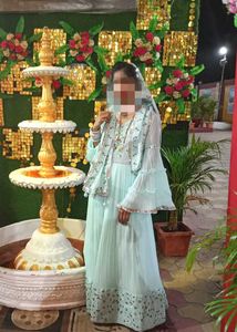 Frillled Embroidered Ingegment Gown
