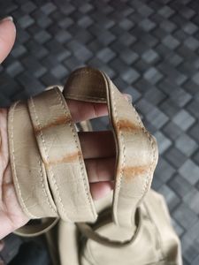 Convertible Bagpack