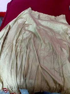 Ethnic Skirt blouse with Detailed Border