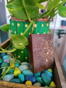 Handmade Coffee Soaps (PACK of 4)