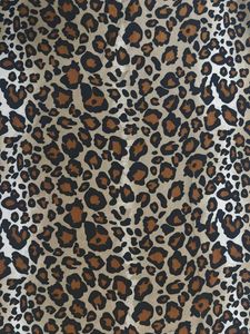 Leopard Print Sleeveless Top