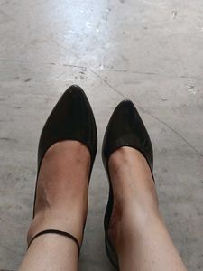Formal Black Bellies