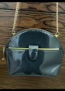 Baggit Women Glossy Sling Bags