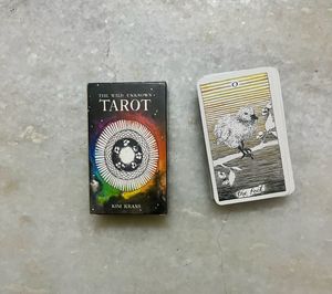 The Wild Unknown Tarot Deck