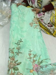 Elegant Mint Green Salwar Suit
