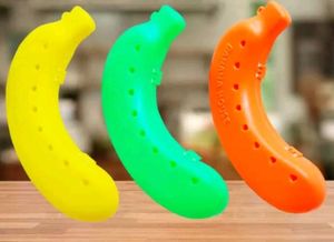 Banana Carry Case 4 Pcs