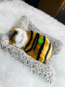 Cute Kitty Toy