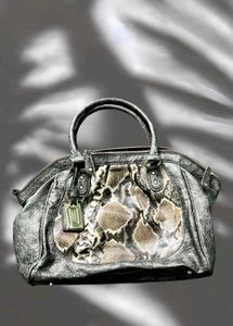 Crocodile 🐊 Metalic Grey Bag