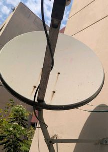 Dish Antenna
