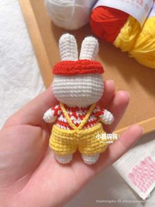Crochet Bunny Plushie