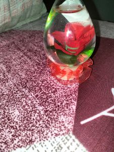 Rose Light Lamp