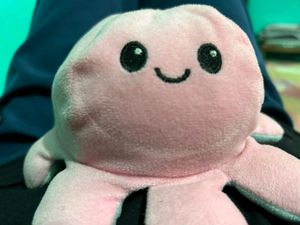 Octopus