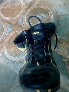 Fila Shoes