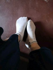 Used Socks For Women