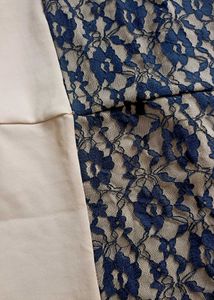 Elegant Lace Sheath Dress