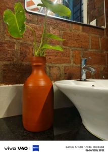 Lifestyle Pot