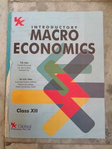 Introductory Macro Economics
