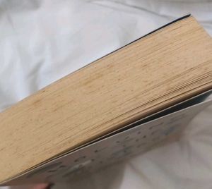 Holding Up The Universe Jennifer Niven