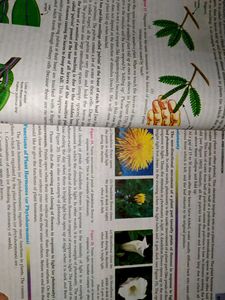 Lakhmir Singh Biology Textbook - 10th Grade