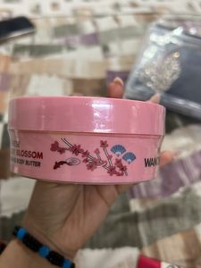 Japanese Cherry Blossom