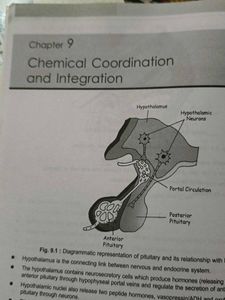 class 11th labelled diagram book.