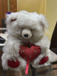 Cute Teddy