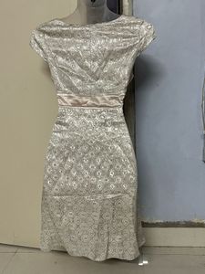 Korean Silk Silver Bodycott One Piece