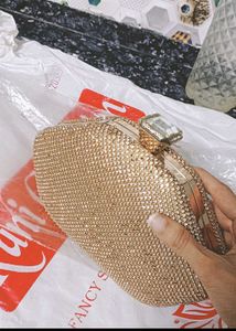 Brand New Party Wear Bag