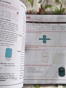Mylestone Class 8 Maths Book Of S.Chand School
