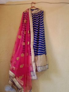 Elegant Lehenga Choli Set