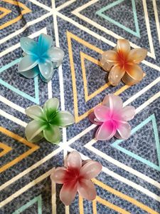 Colorful Floral Hair Clips - Set of 5