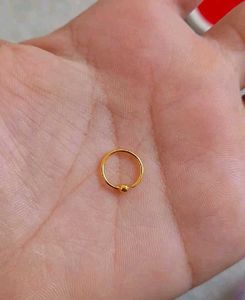 Beautiful New Round Nosering